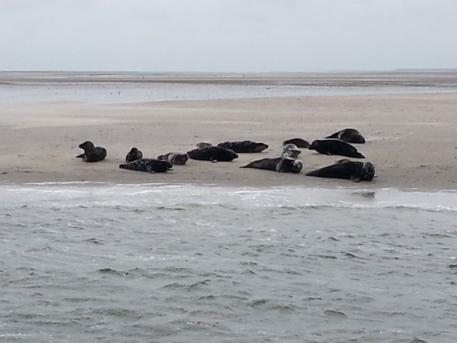 HWK Texel 123.jpg